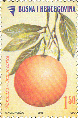 VOCE – Narandža, redovna marka